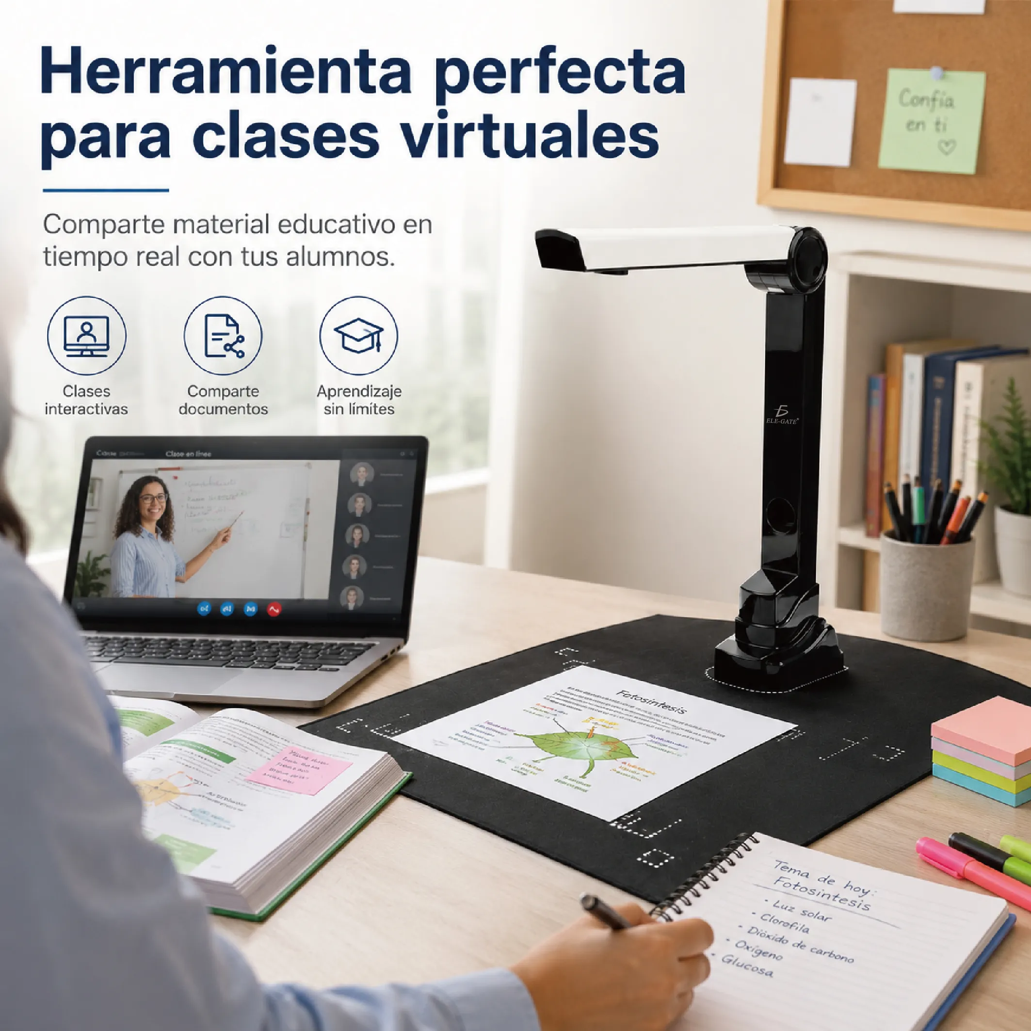 Base de posicionamiento para escaneo de hojas A4 y documentos