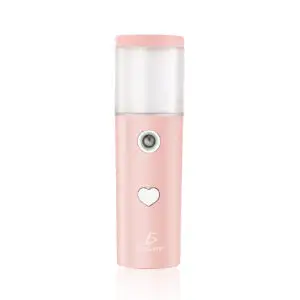 Desinfectante Spray Sanitizante Nano Difusor Atomizador Usb