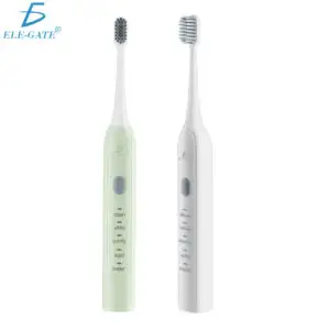Cepillo De Dientes Eléctrico Recargable Ultrasónico Con 2 cabezales