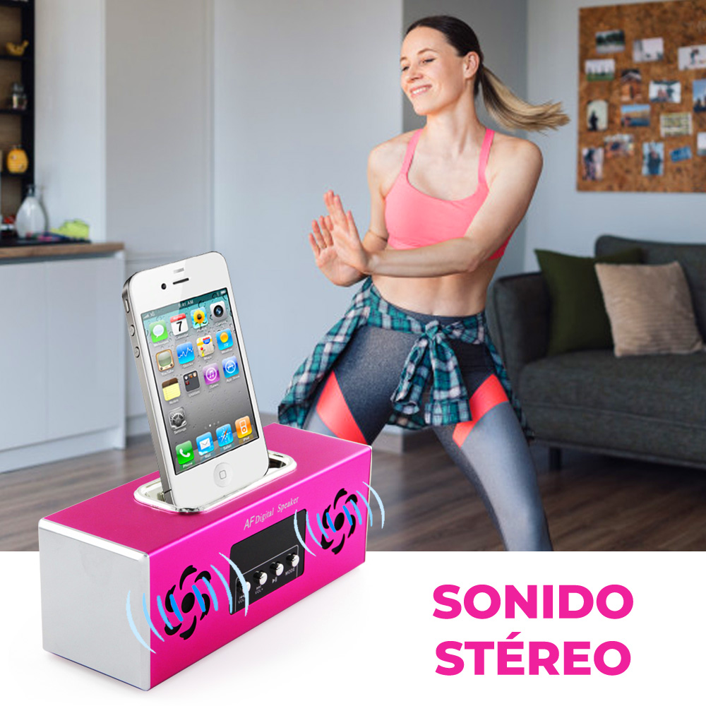 Bocina Fm Lector Memoria Sd Usb Metal