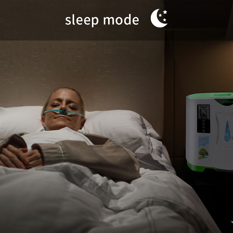 Máquina generadora de oxígeno portátil 110V 9L Generador Oxygene