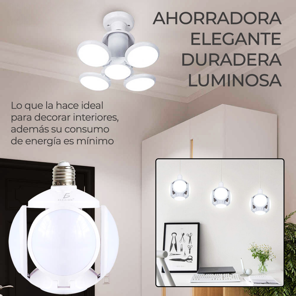 demostración del foco 