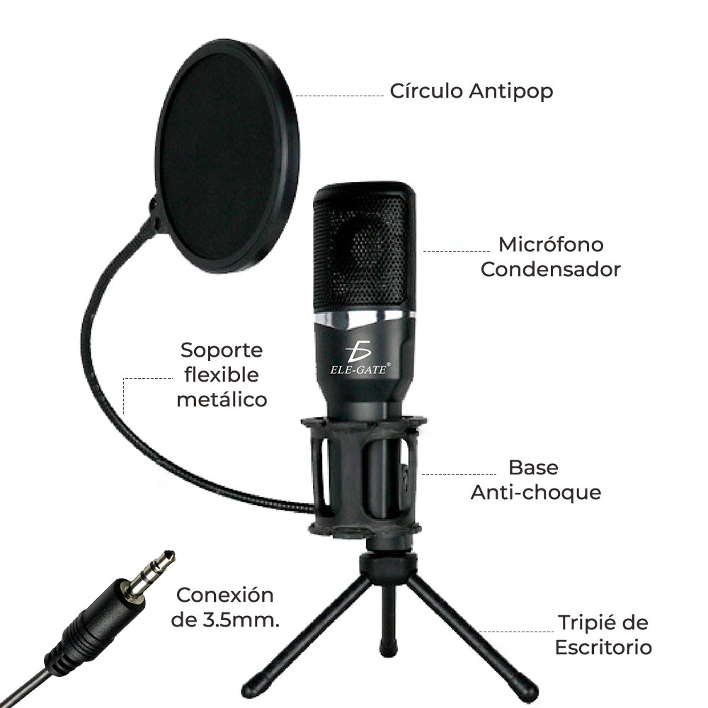 Microfono De Estudio Actuación En Vivo