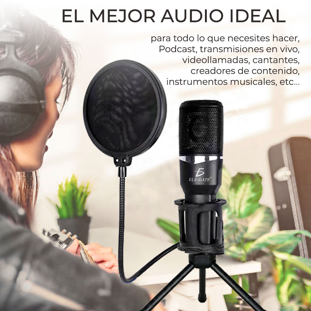 Microfono De Estudio Actuación En Vivo