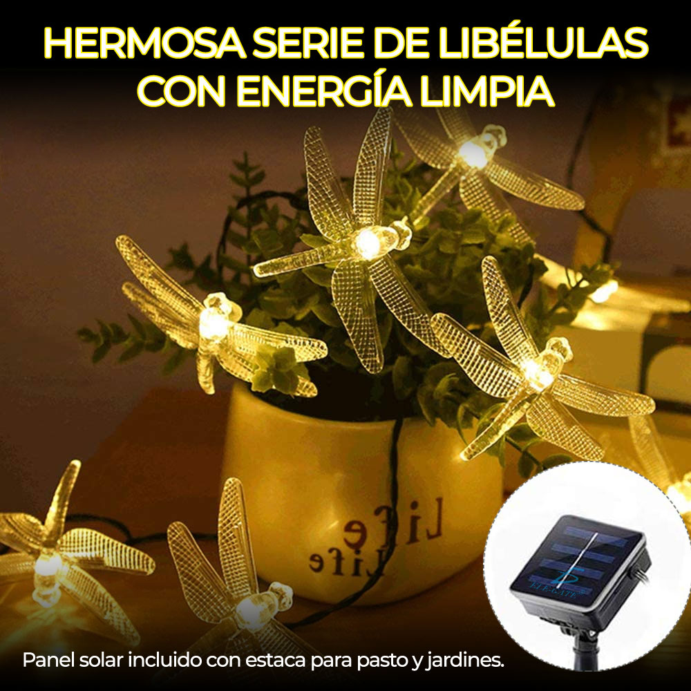 Serie De Luces Coloridas Libélula Carga Solar 5 Metro
