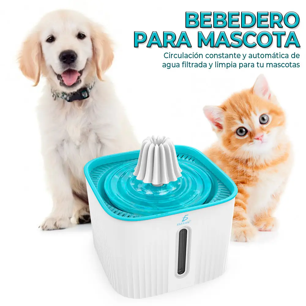 Animales y Mascotas