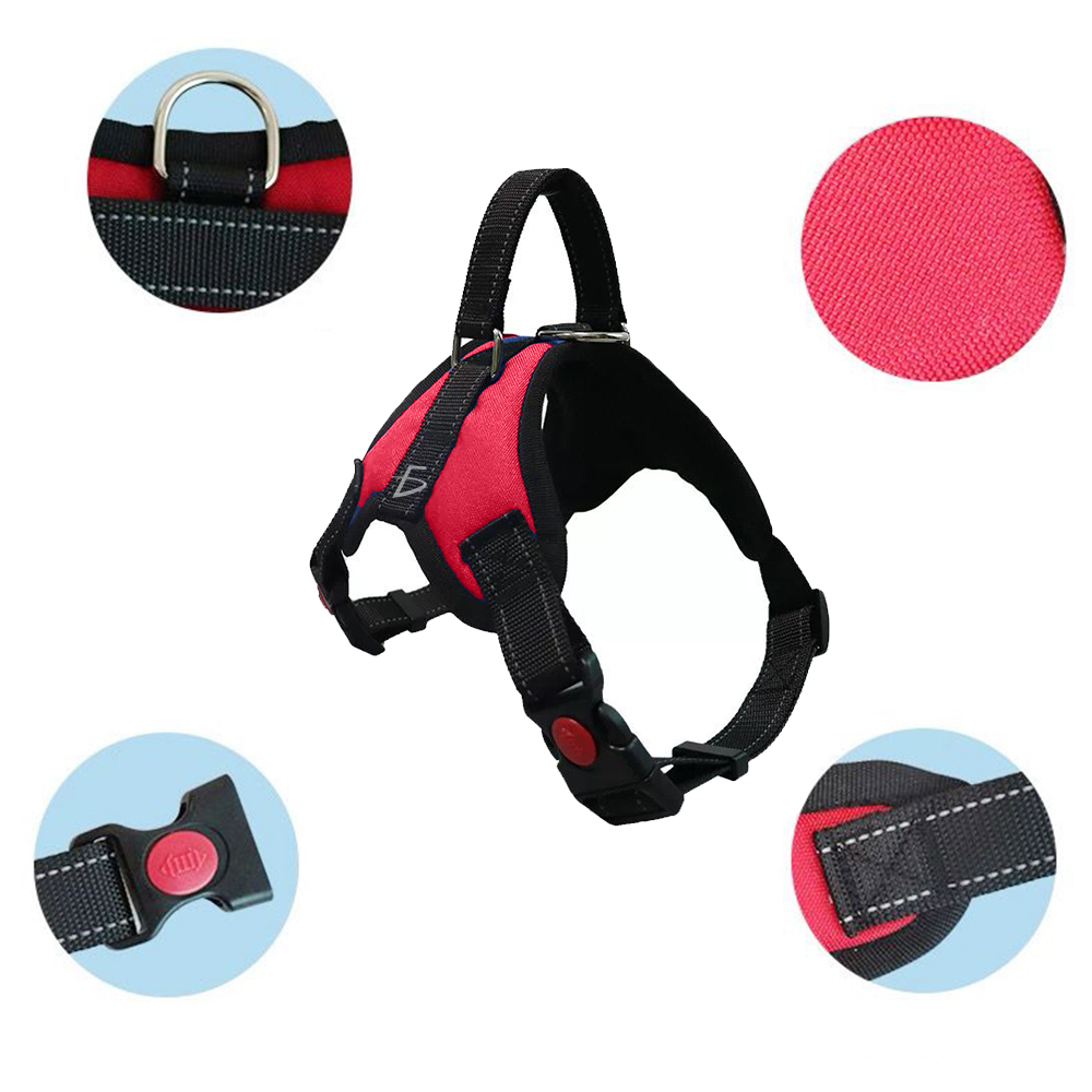 Pechera Arnés Para Perro Mascota Ajustable - Image 8