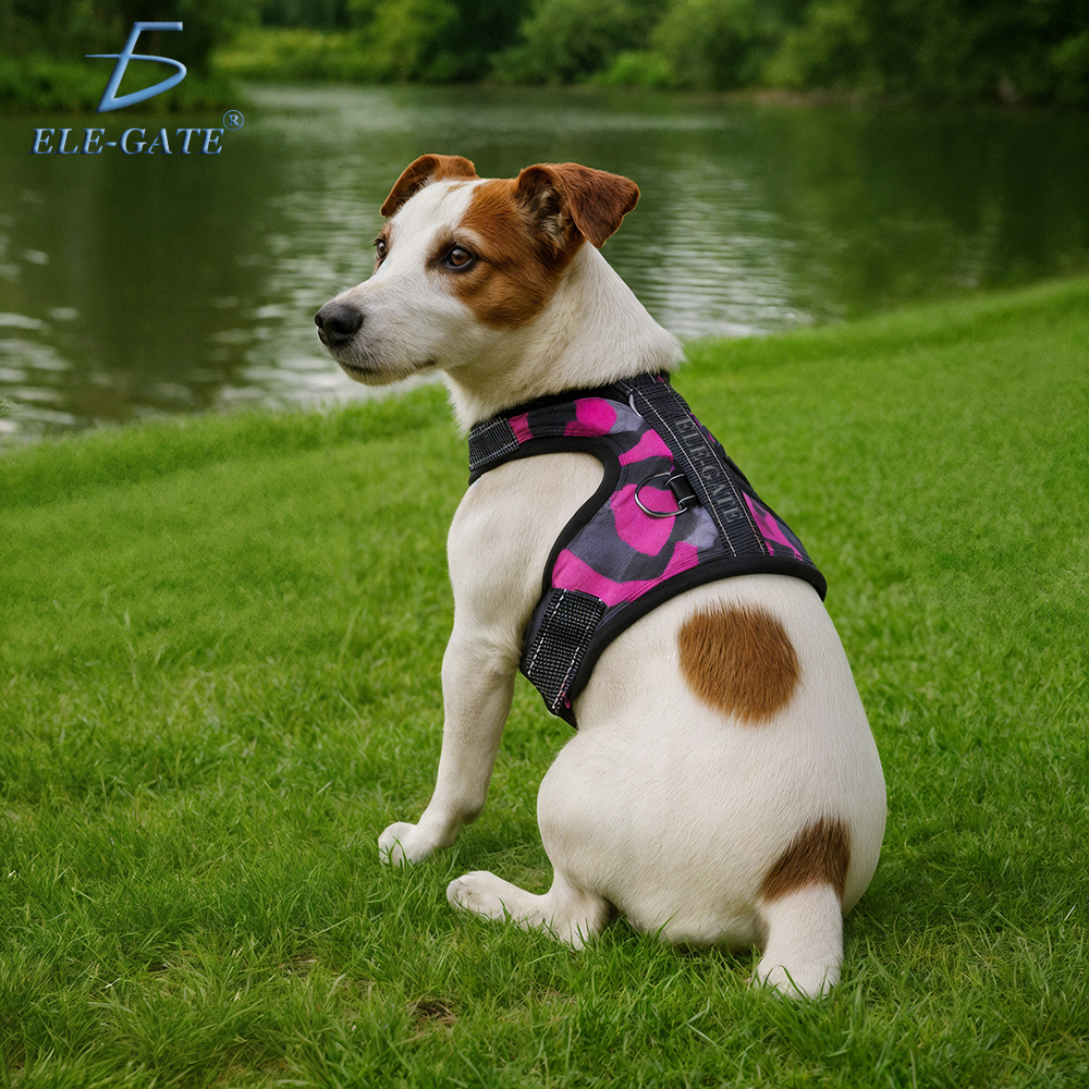 Pechera Arnés Para Perro Mascota Ajustable