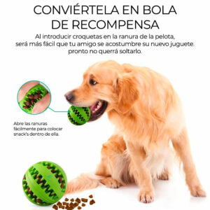 Comedero Para Perros Y Gatos De Juguete Para Mascotas