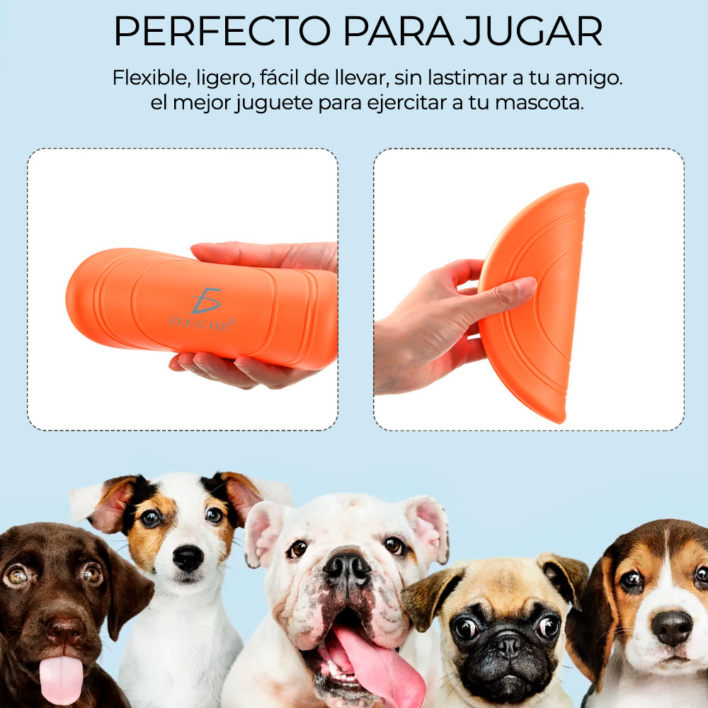 Entrenamiento Mascota Frisbee Comederos Multifuncional