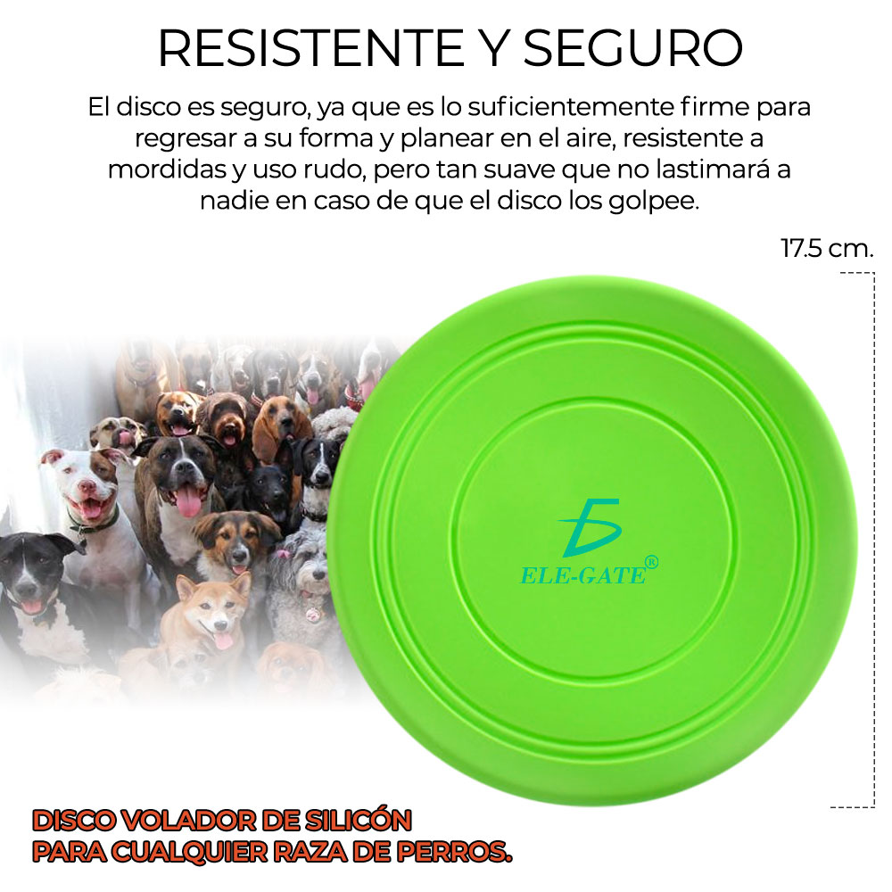 Entrenamiento Mascota Frisbee Comederos Multifuncional