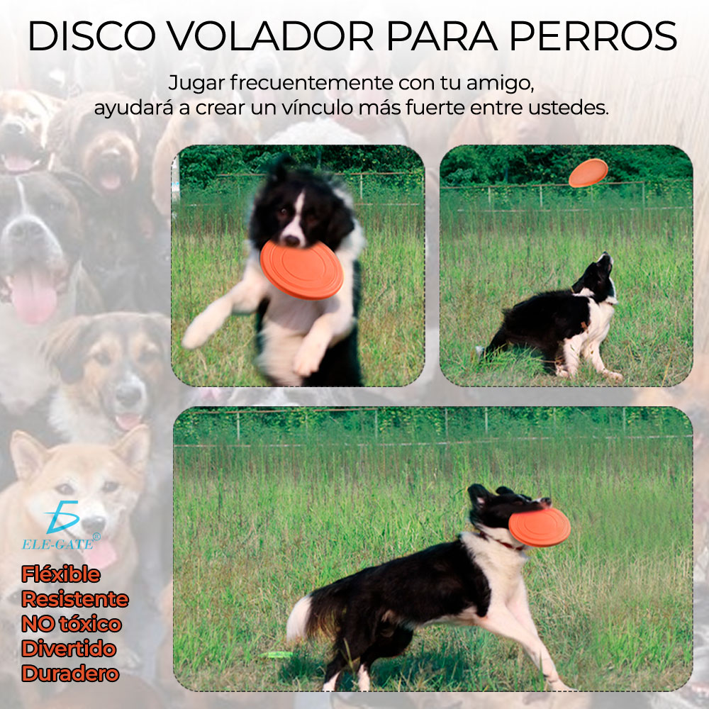 Entrenamiento Mascota Frisbee Comederos Multifuncional