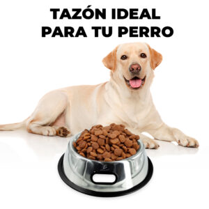 Tazón Redondo Antiderrapante De Acero Para Mascotas