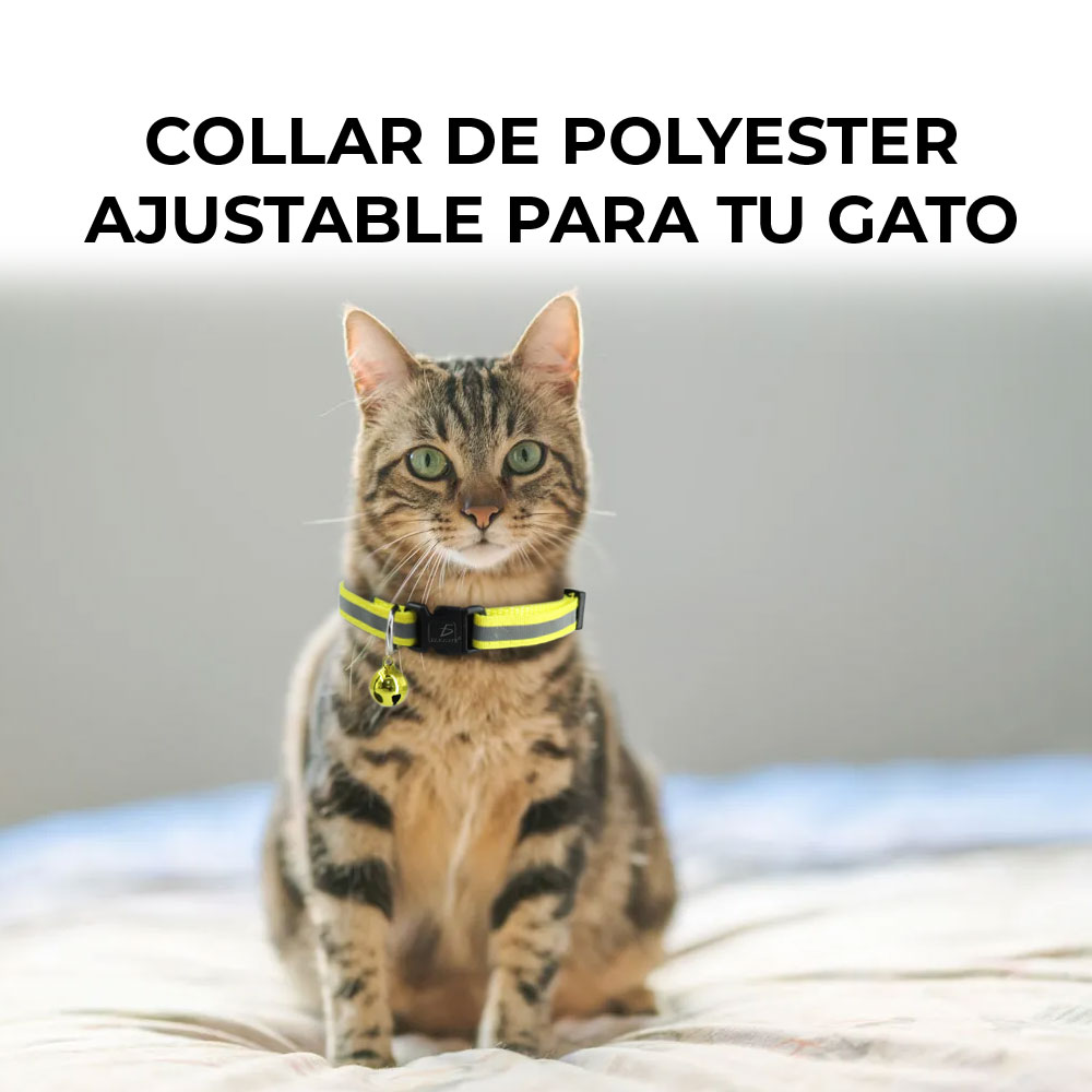 Collar Reflectante De Luz Para Perros Pequeños Y Gatos