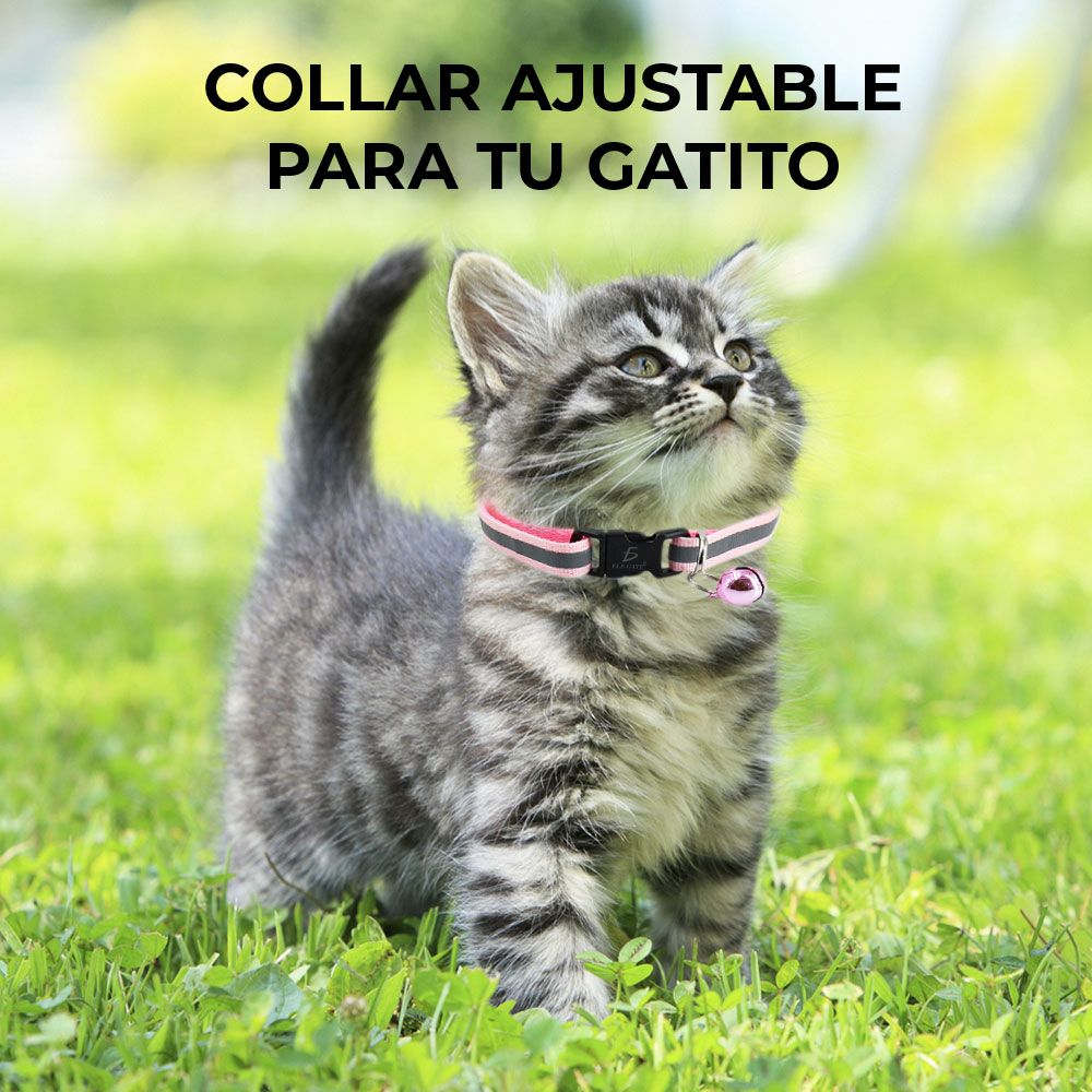 Collar Reflectante De Luz Para Perros Pequeños Y Gatos