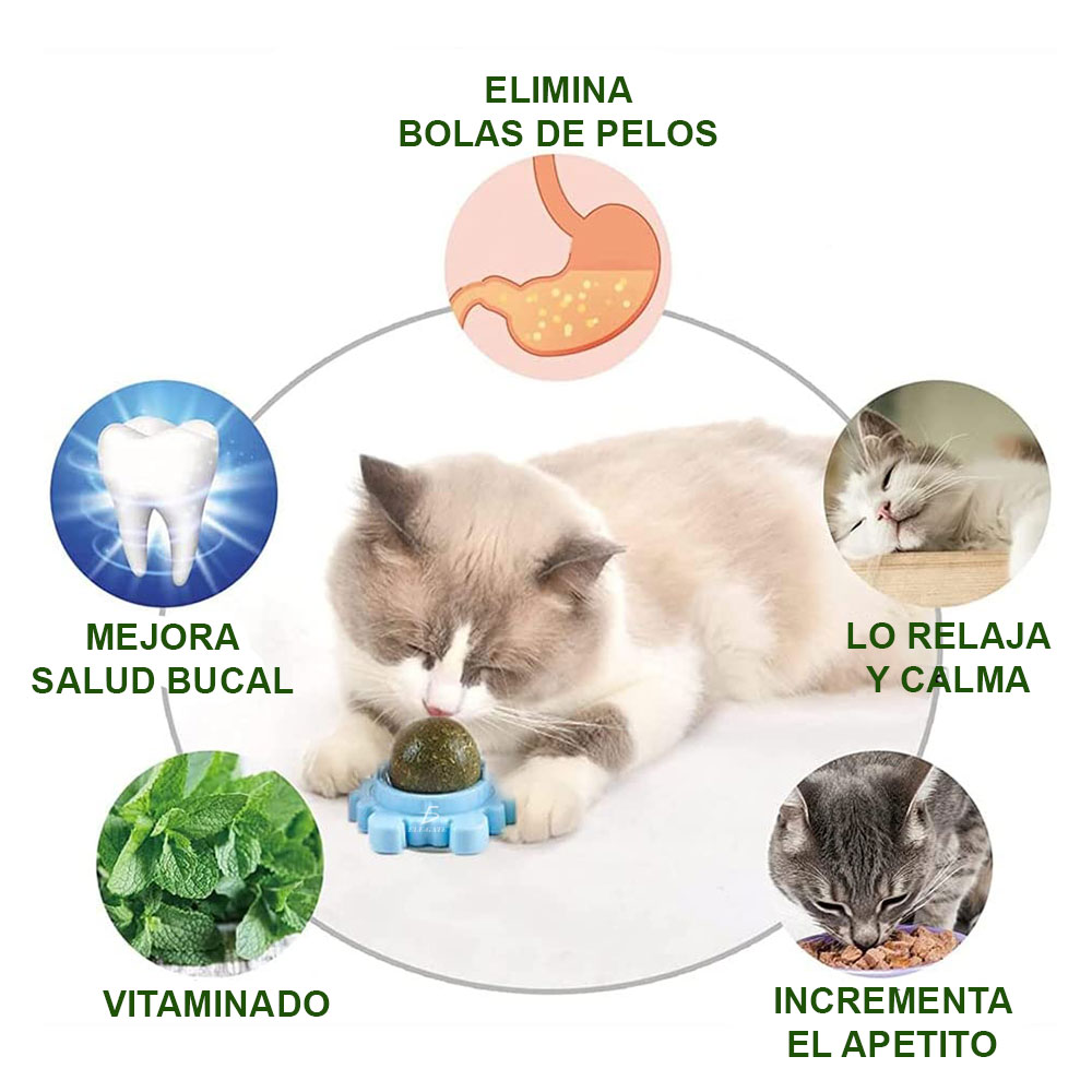 Juguetes Natural De Masticar De Dientes De Conejos Mascotas Giratoria - Image 2