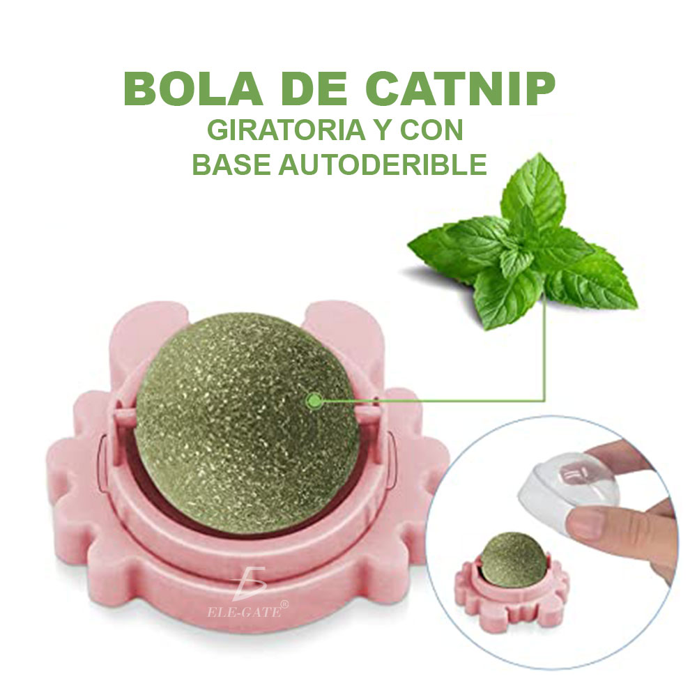 Juguetes Natural De Masticar De Dientes De Conejos Mascotas Giratoria - Image 6