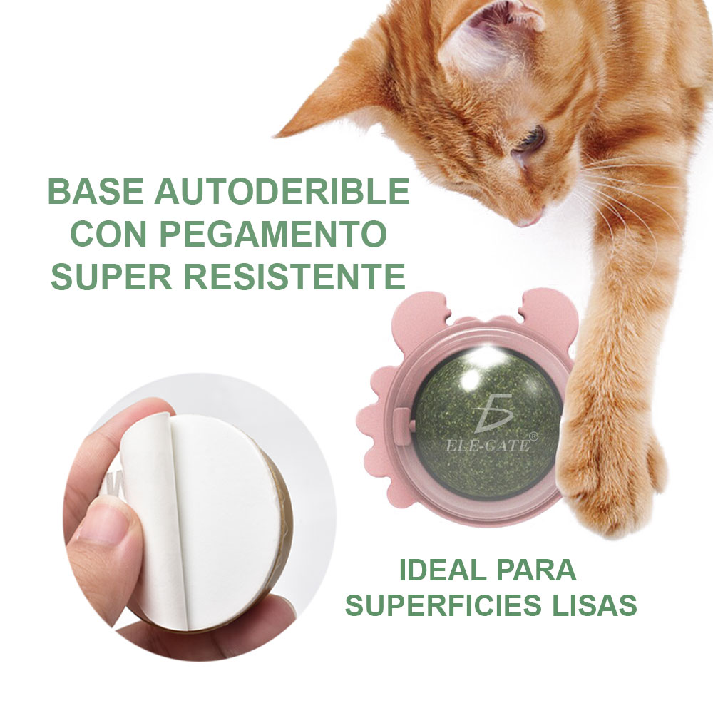 Juguetes Natural De Masticar De Dientes De Conejos Mascotas Giratoria - Image 5