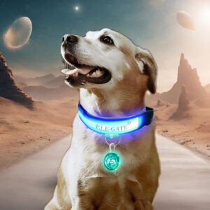 Collar Para Perro Gato Mascota Iluminado Con Luz Led y esfera luminosa