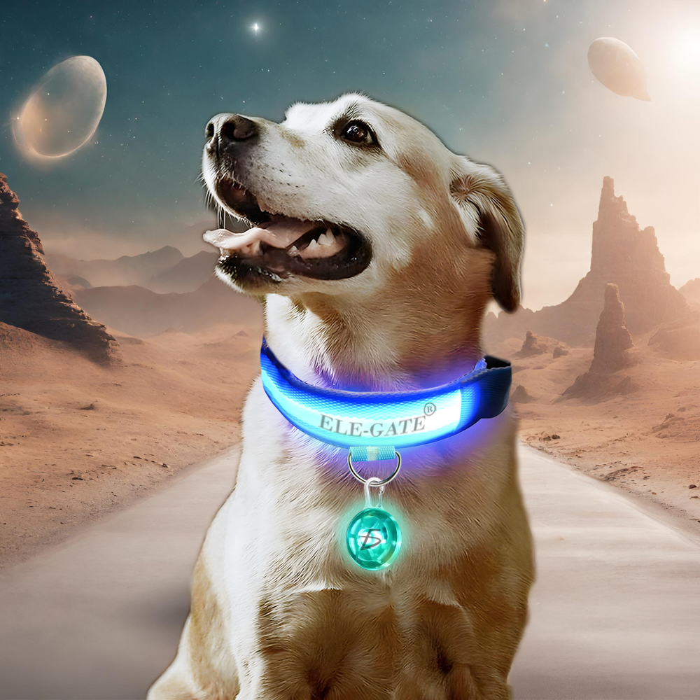 Collar Para Perro Gato Mascota Iluminado Con Luz Led y esfera luminosa