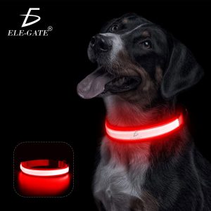 Collar Para Perro Gato Mascota Iluminado Con Luz Led Forma:M
