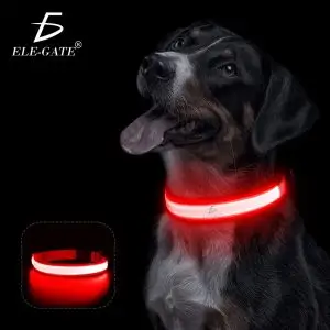 Collar Para Perro Gato Mascota Iluminado Con Luz Led Forma:M