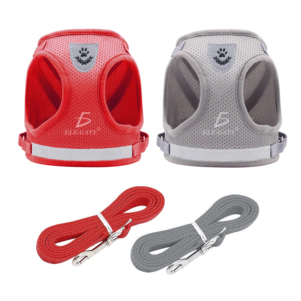 Arnés con Correa para Gatos y Mascotas Pequeñas - Image 2