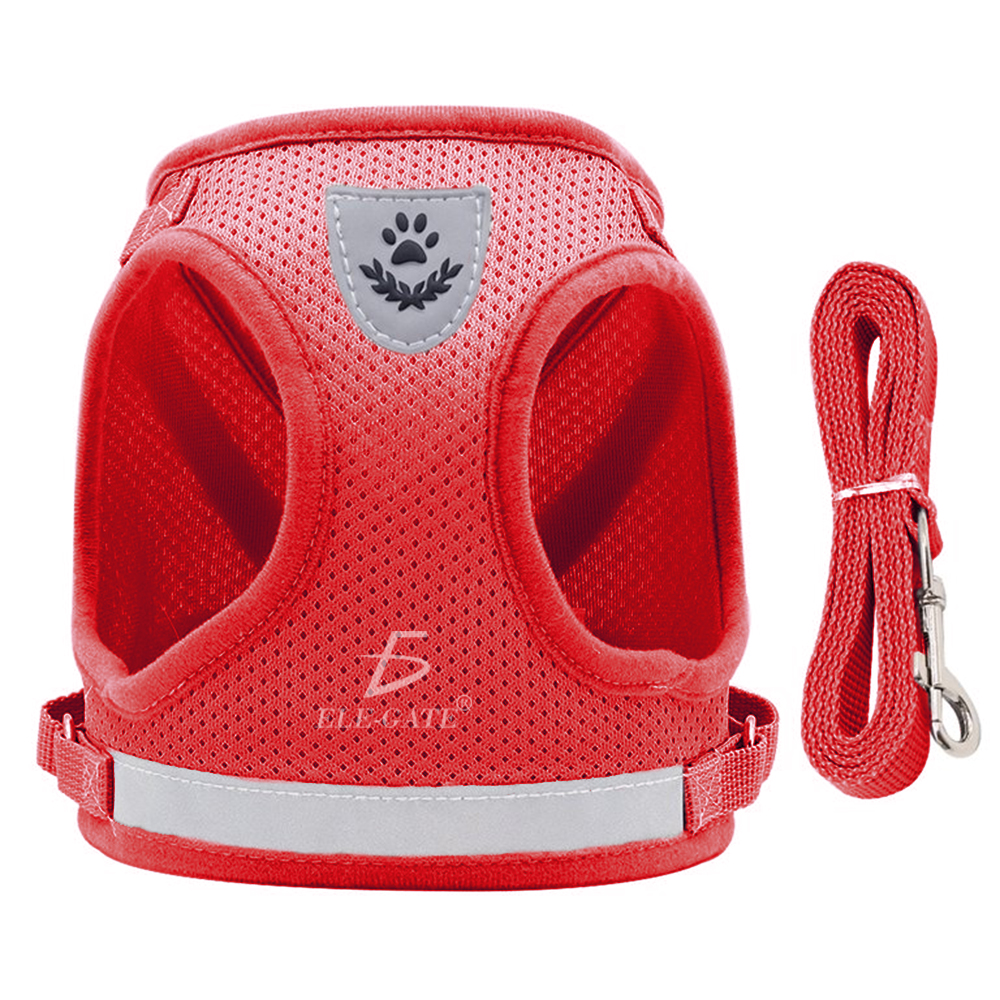 Arnés con Correa para Gatos y Mascotas Pequeñas - Image 4