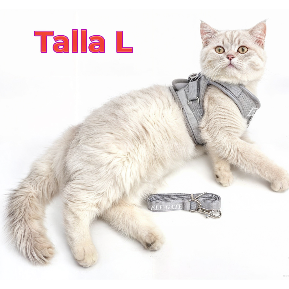 Arnés para Gatos y Cachorros con Correa