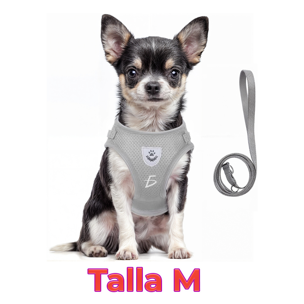 Arnés con Correa para Gatos y Mascotas Pequeñas