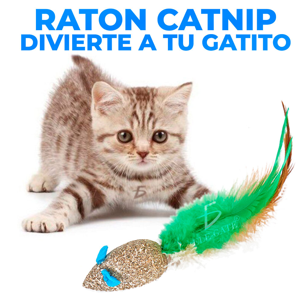 Catnip Pelotas Hierba Gatera Juguete Para Gatos En Forma De Ratón - Image 2
