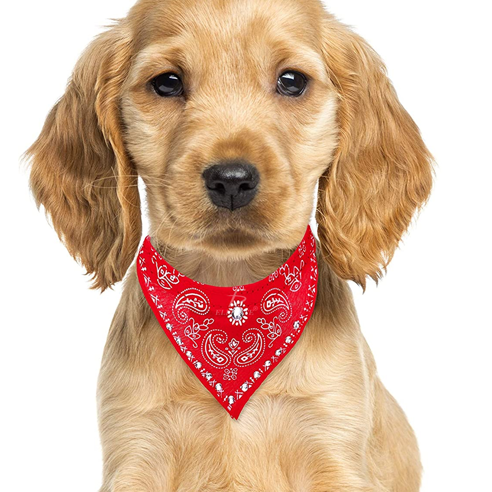 Accesorio para Mascotas con Forma de Pañoleta Poliéster Hipoalergénico. Talla S - Image 2