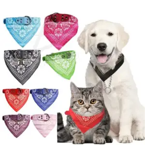 Collar para Mascota con Banda de Paliacate para Tallas Grandes