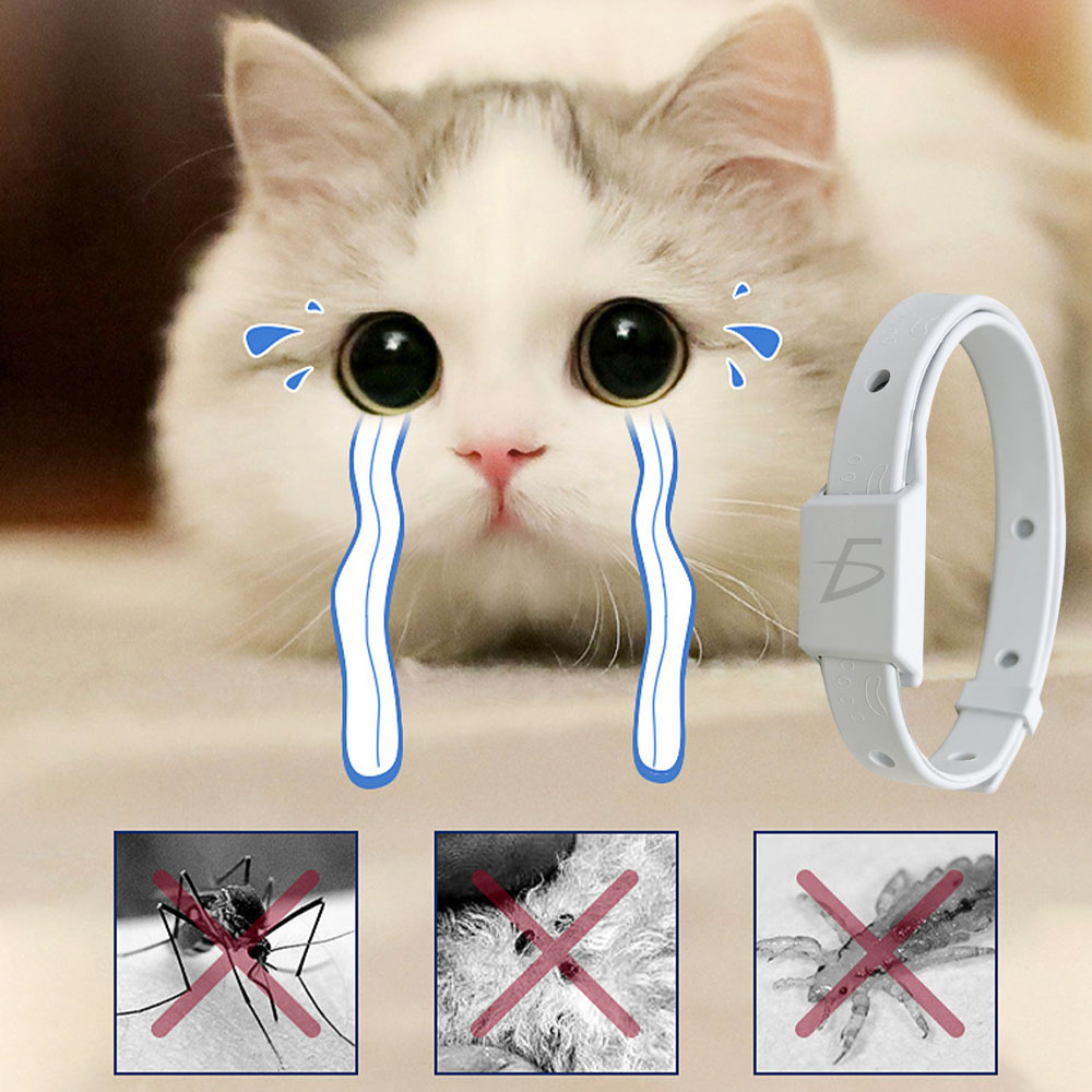 Collar Repeler de Garrapatas Pulgas Mosquitos para Gatos - Image 2