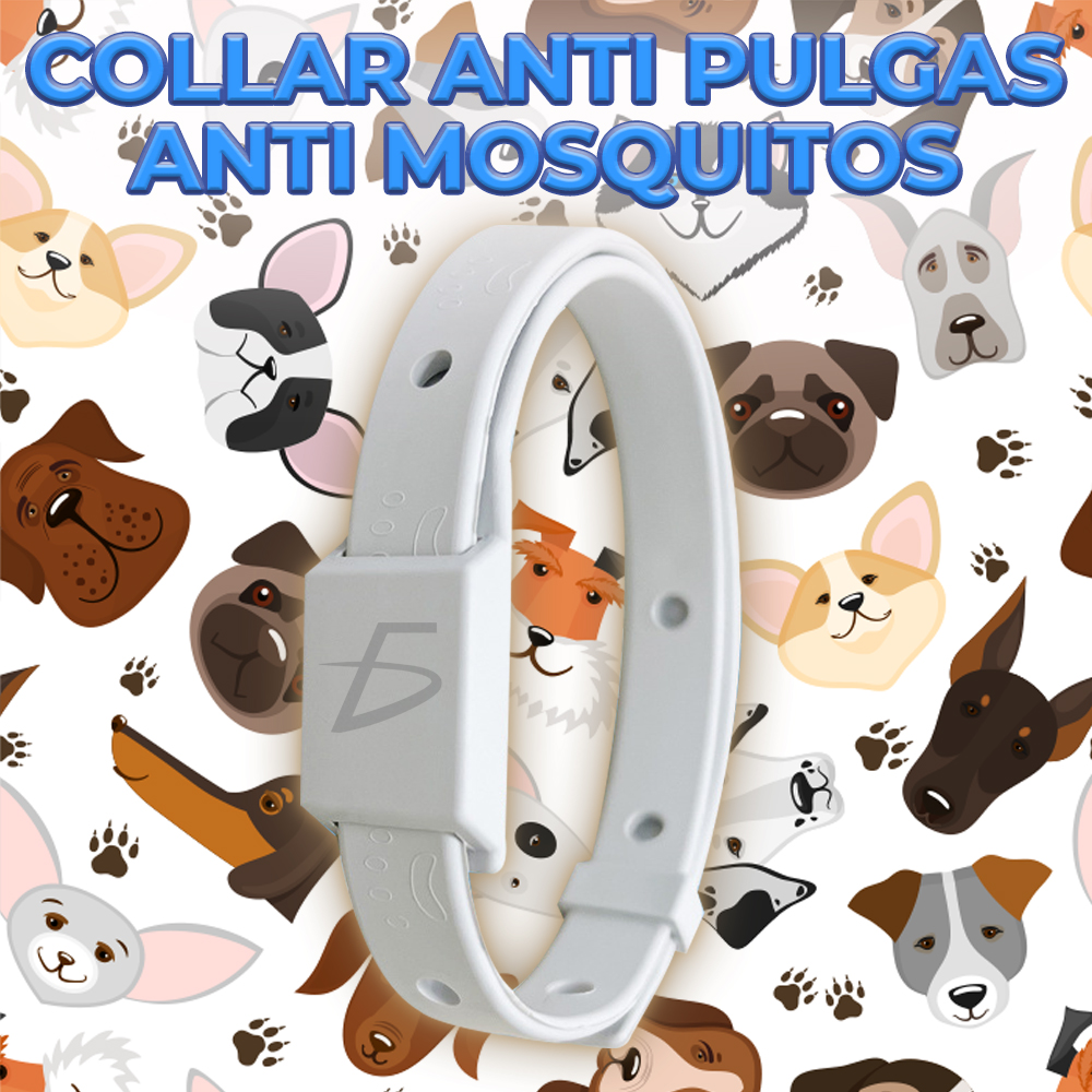 Collar para Perros Prevención de Pulgas y Garrapatas Picadura de Insectos - Image 4