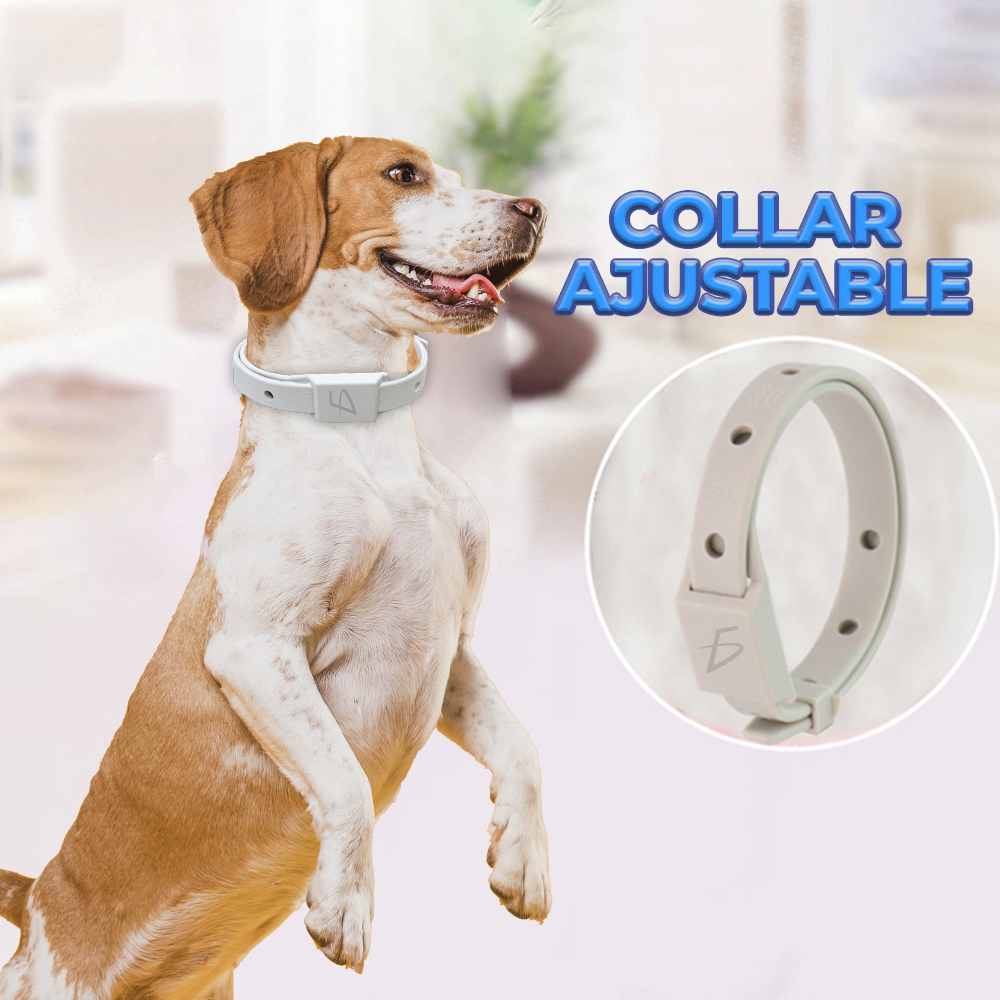 Collar para Perros Prevención de Pulgas y Garrapatas Picadura de Insectos - Image 3