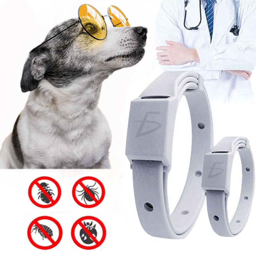 Collar para Perros Prevención de Pulgas y Garrapatas Picadura de Insectos - Image 2
