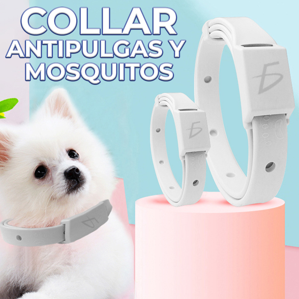 Collar para Perros Prevención de Pulgas y Garrapatas Picadura de Insectos - Image 5