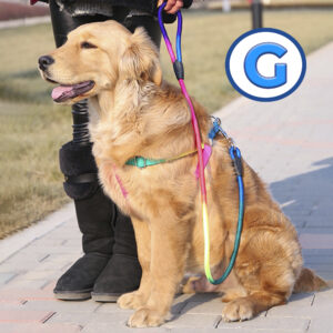 Set de Arnes para Perro y Correa con diseño cómodo Talla Grande