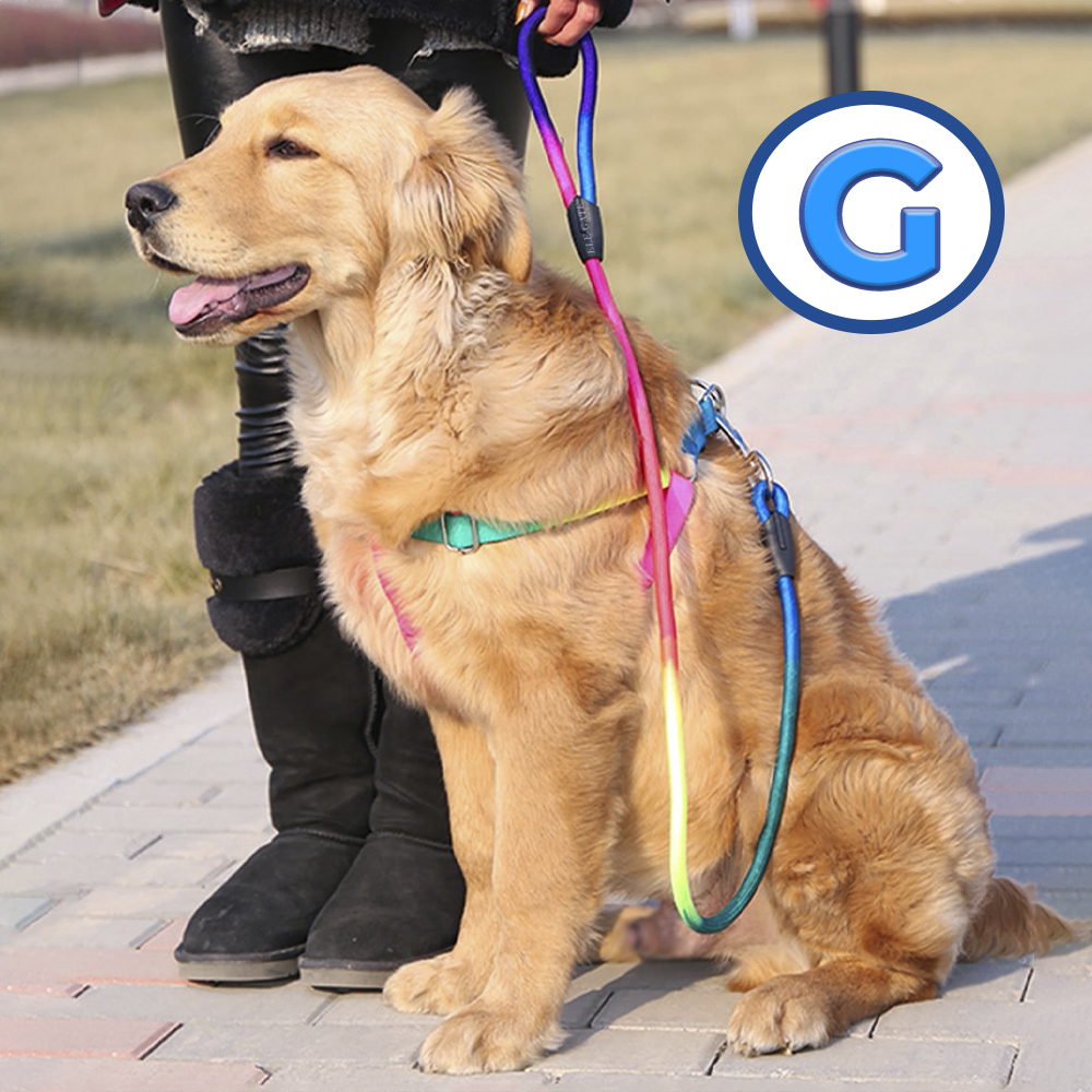 Set de Arnes para Perro y Correa con diseño cómodo Talla Grande