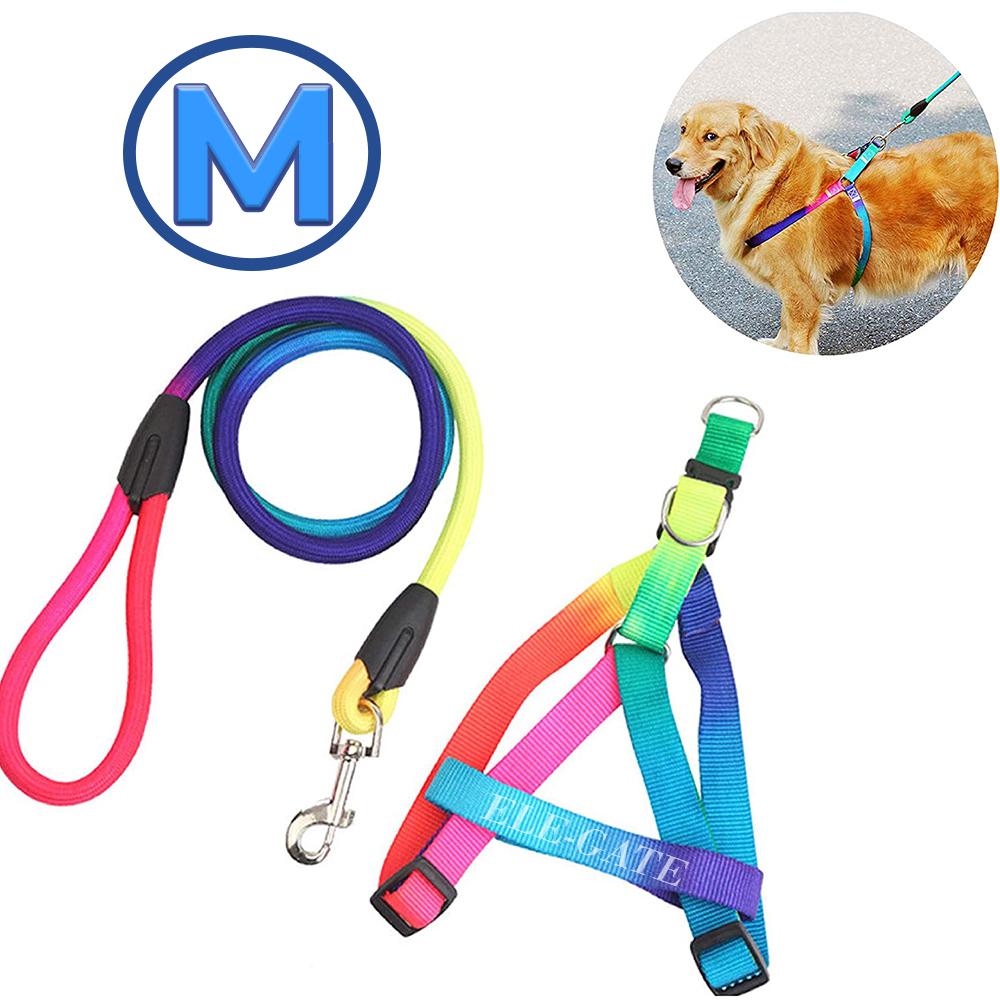 Arnés para Perros Talla M con Correa Transpirable para Caminar - Image 2