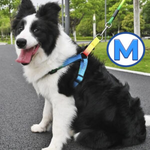 Arnés para Perros Talla M con Correa Transpirable para Caminar