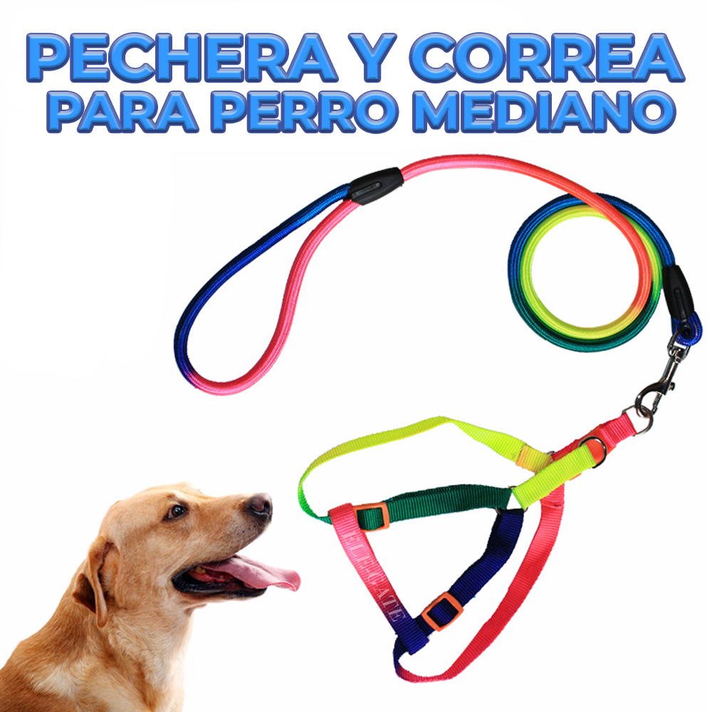 Arnés para Perros Talla M con Correa Transpirable para Caminar - Image 5
