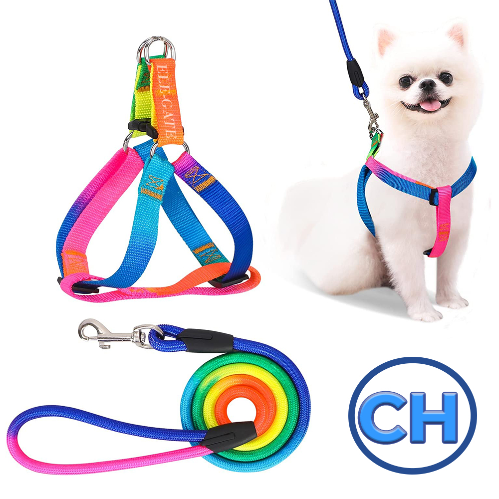 Juego de Arnés y Correa para Mascota Talla S - Image 2