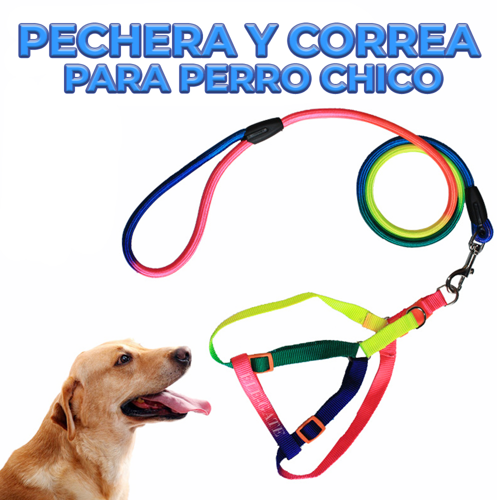 Juego de Arnés y Correa para Mascota Talla S - Image 5