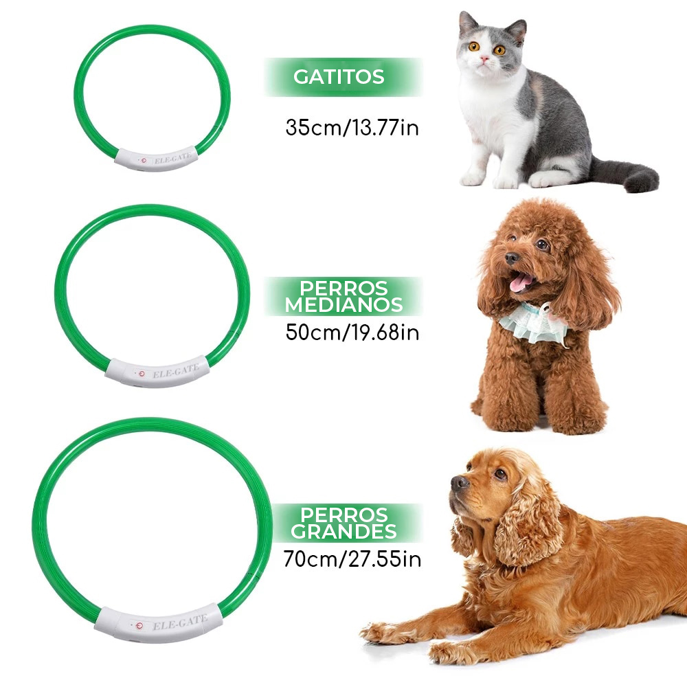 Collar de perro con luz LED Recargable USB Talla M - Image 6