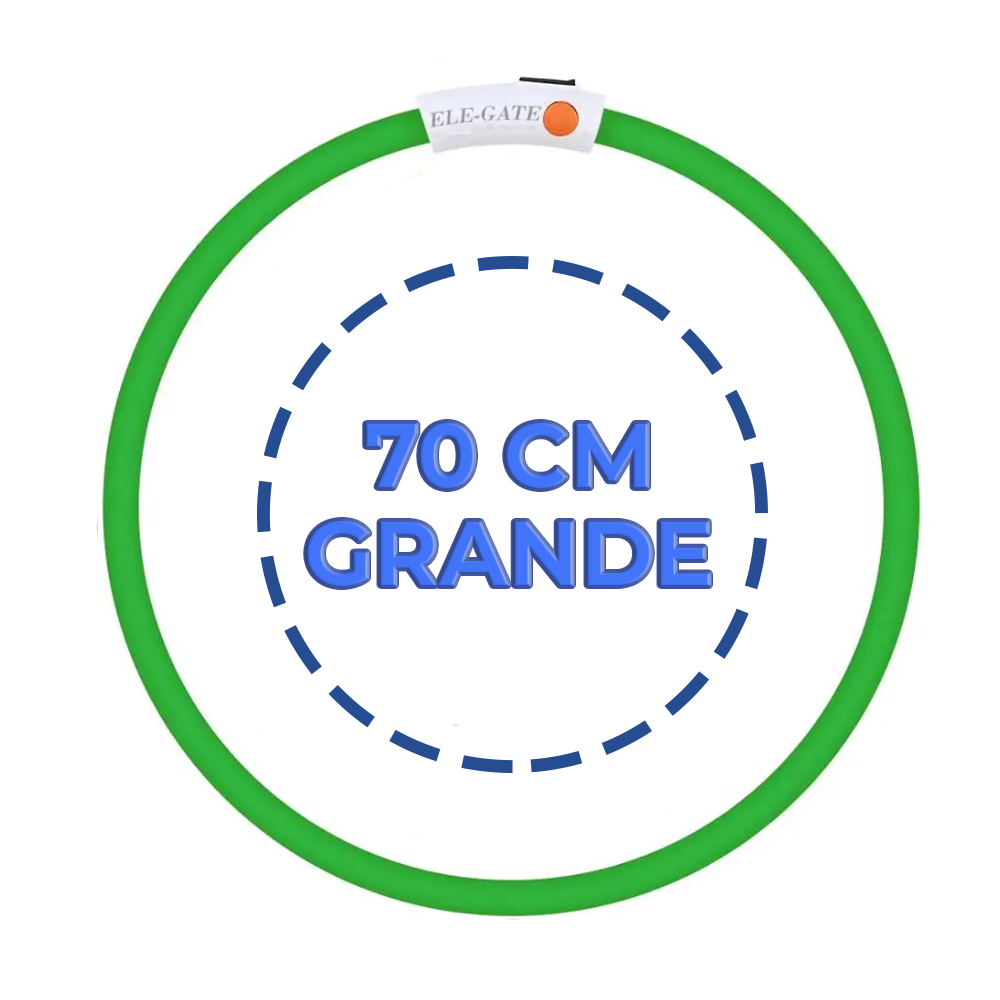 Collar Para Mascota con luz LED Recargable USB Talla L - Image 3