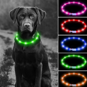 Collar Para Mascota con luz LED Recargable USB Talla L