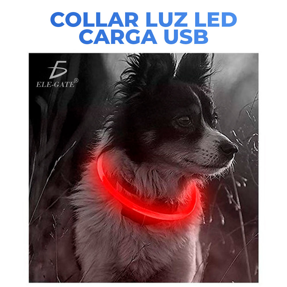 Collar Para Mascota con luz LED Recargable USB Talla L - Image 4