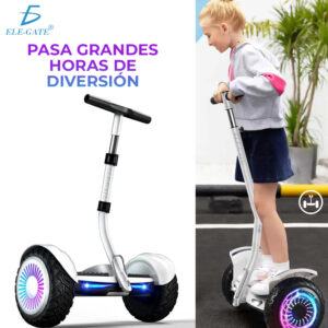 Scooter Patineta Electrica